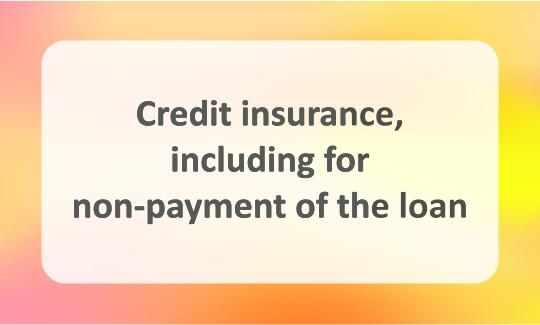 Loan insurance