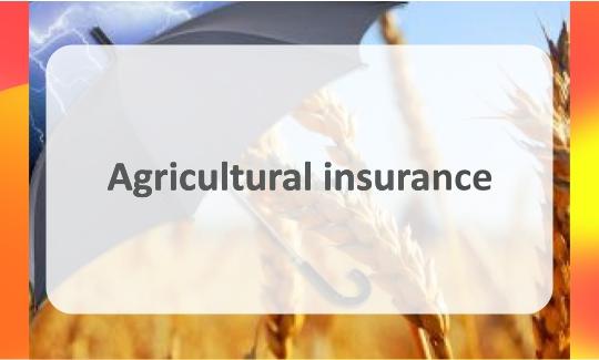 Agricultural insurance